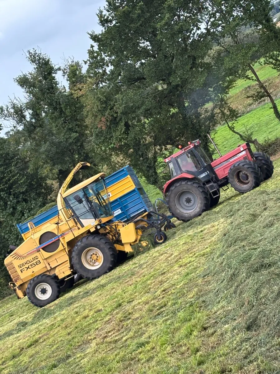 Newholland FX58 - Image 4
