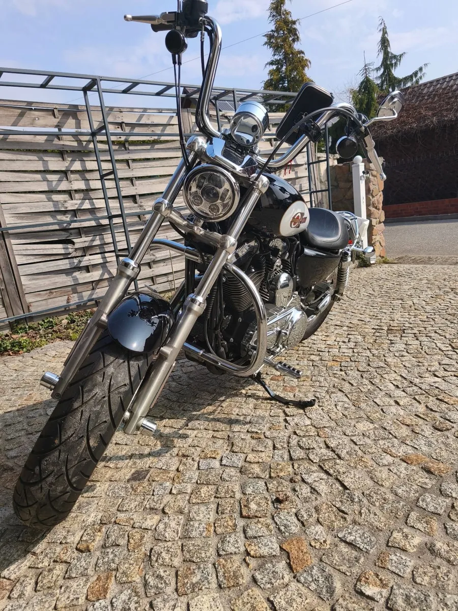 Harley Davidson xl1200 c - Image 3