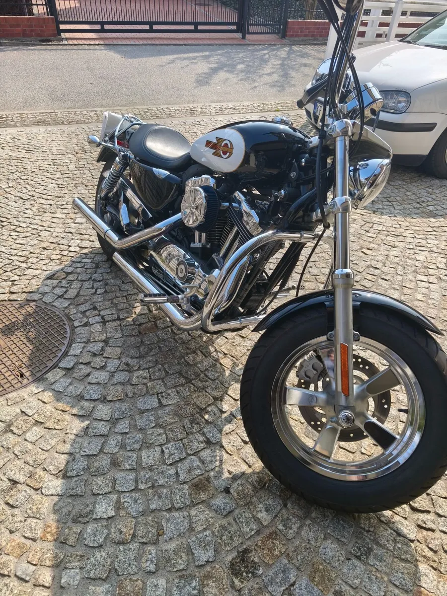 Harley Davidson xl1200 c - Image 2