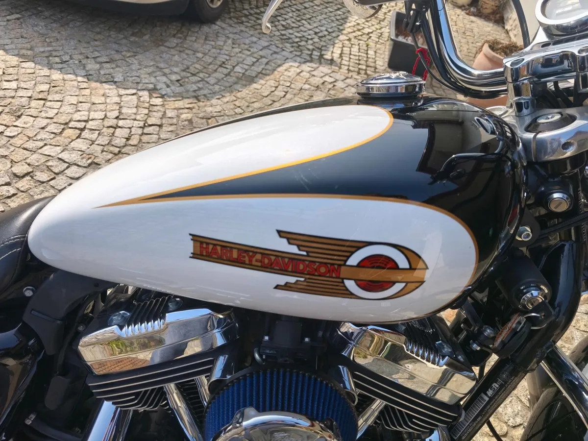 Harley Davidson xl1200 c - Image 4