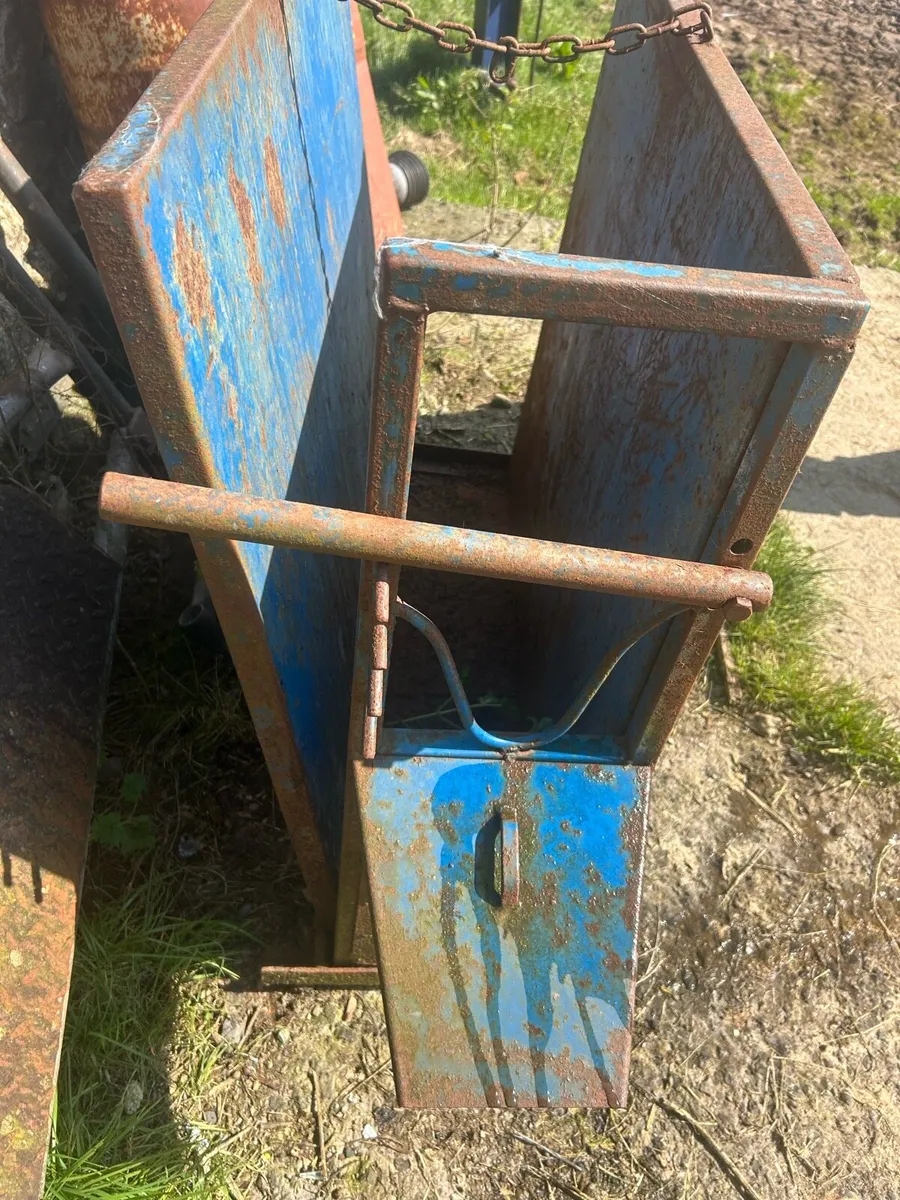 Calf De- horning crate - Image 1