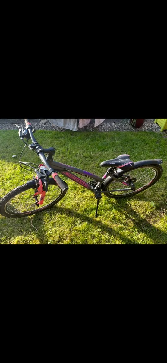 Girls Bicycle - Image 1