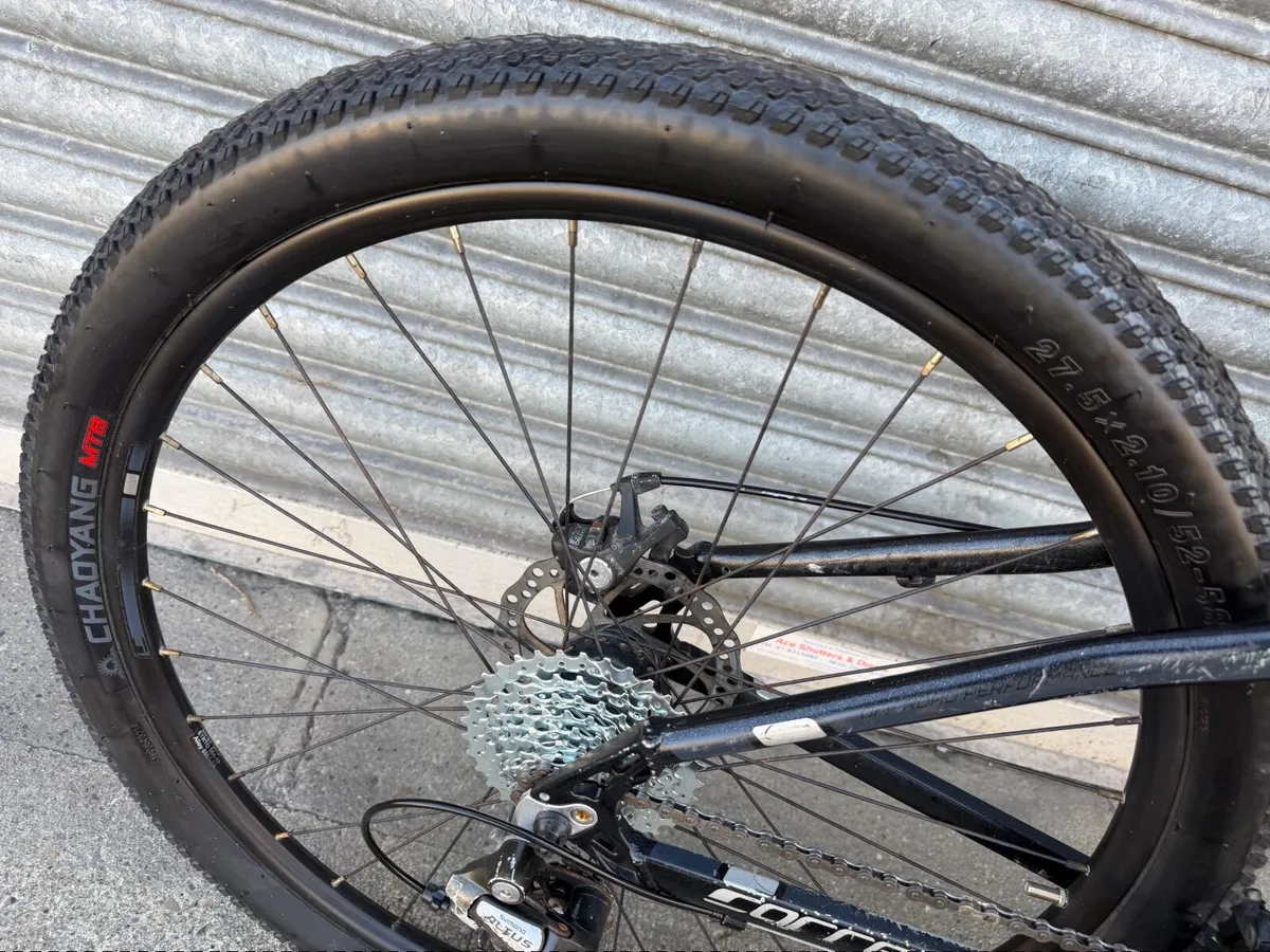 Carrera Vengeance ❗️Open 7 days of the week ❗️ - Image 4