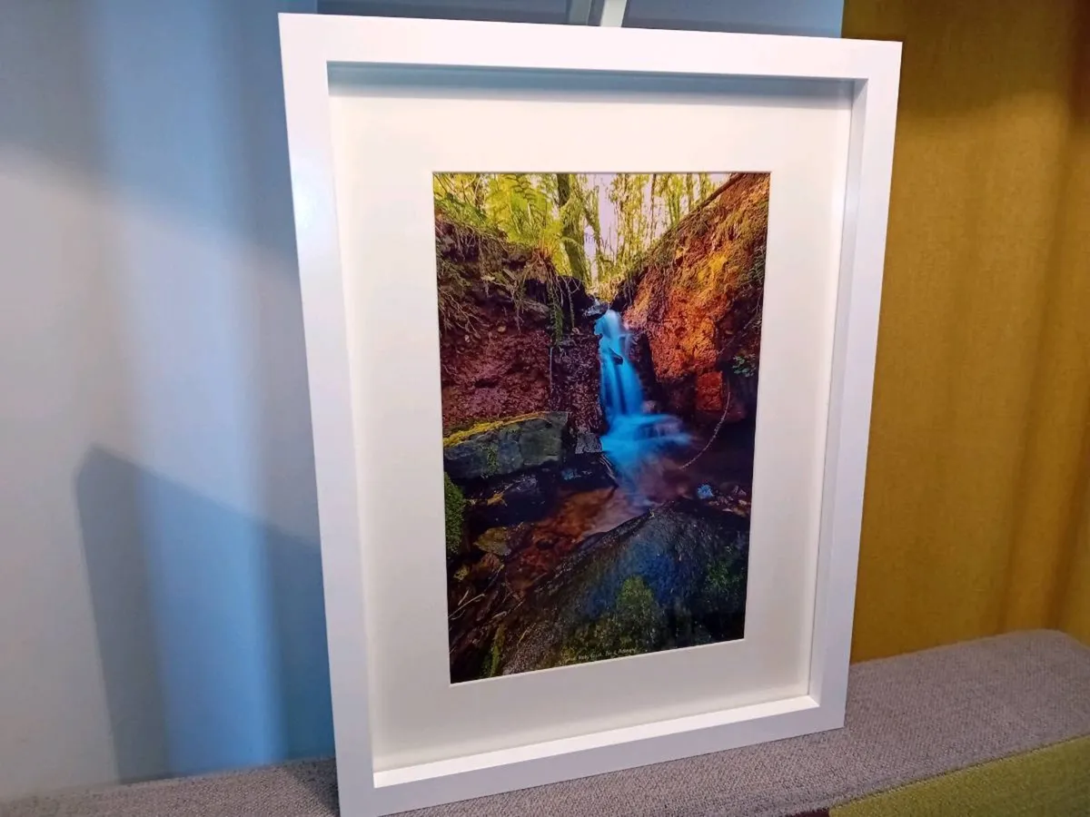 Curragh Woods, East Cork - Image 3