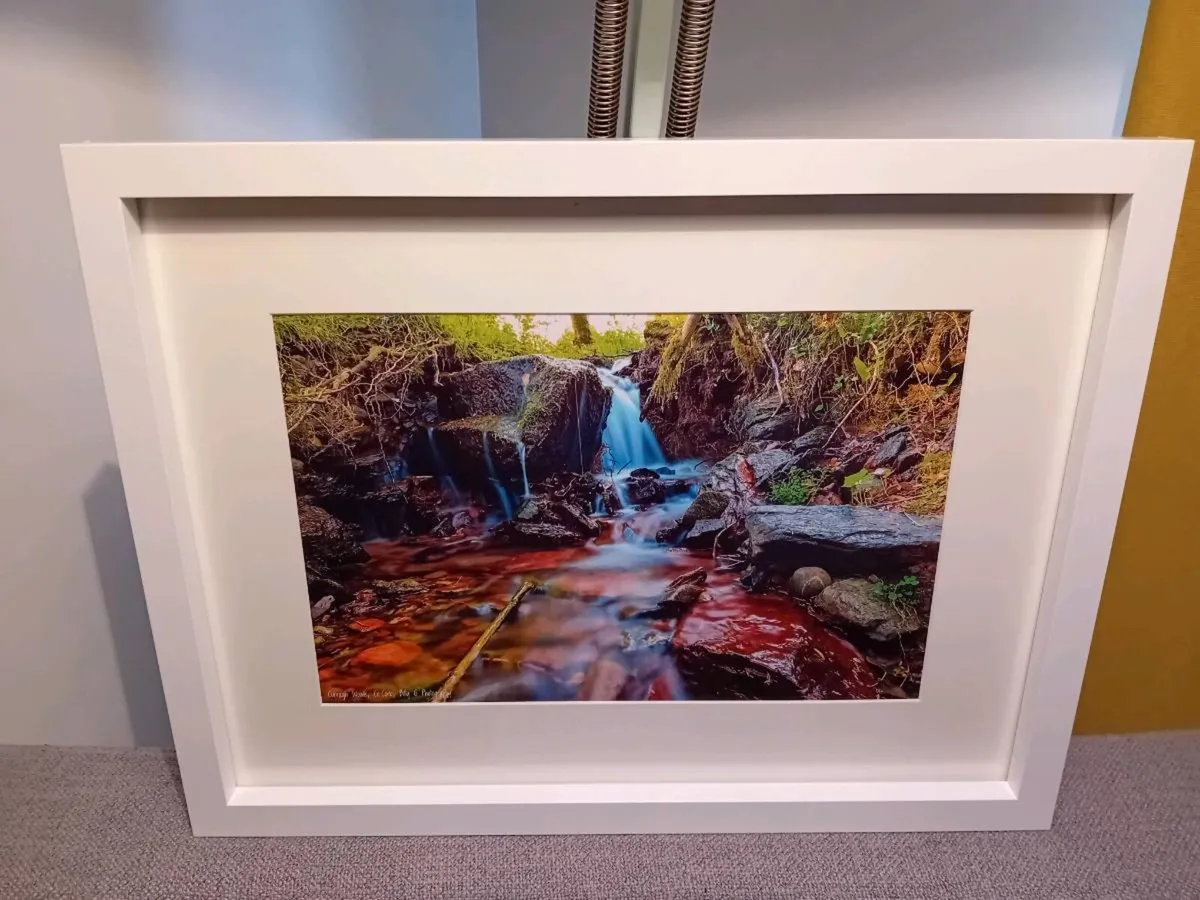 Curragh Woods, East Cork - Image 4