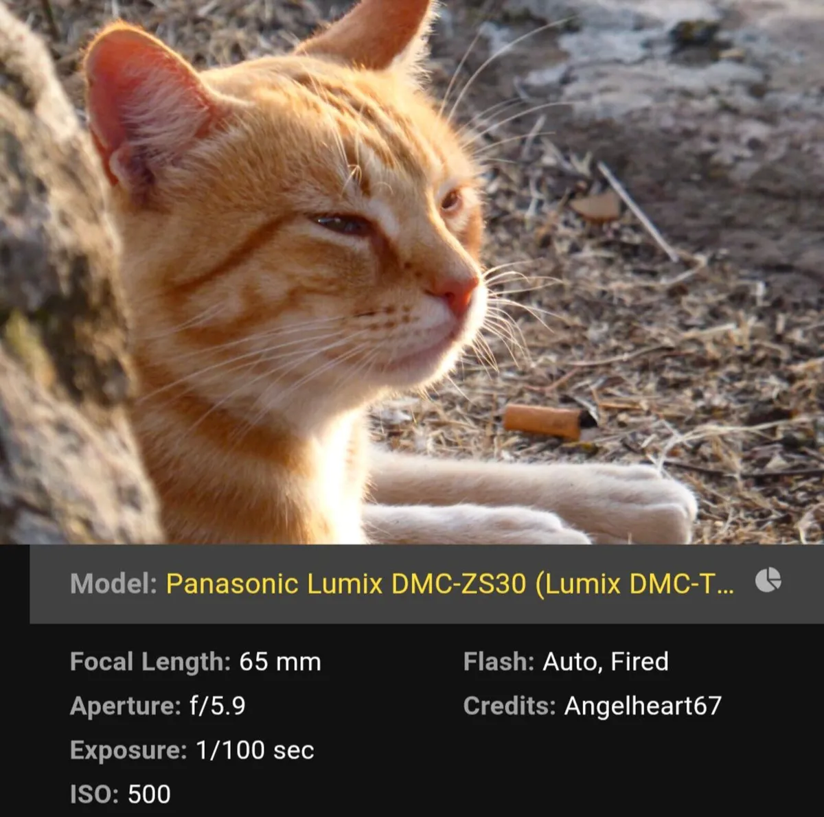 Panasonic Lumix TZ40 18MP Leica lens 💥 WiFi - Image 3