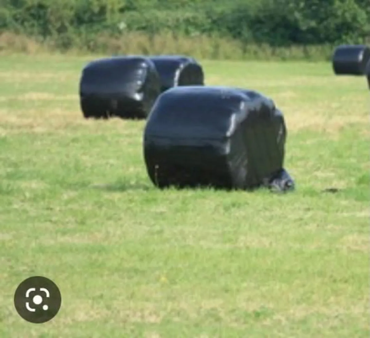 Round Bales of Silage