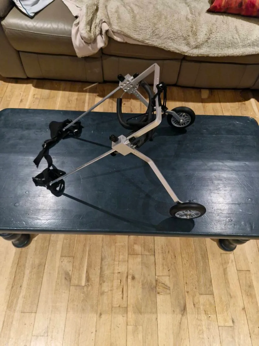 Dog harness - Image 1