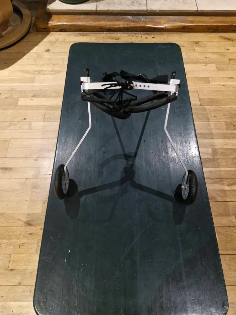 Dog harness - Image 2