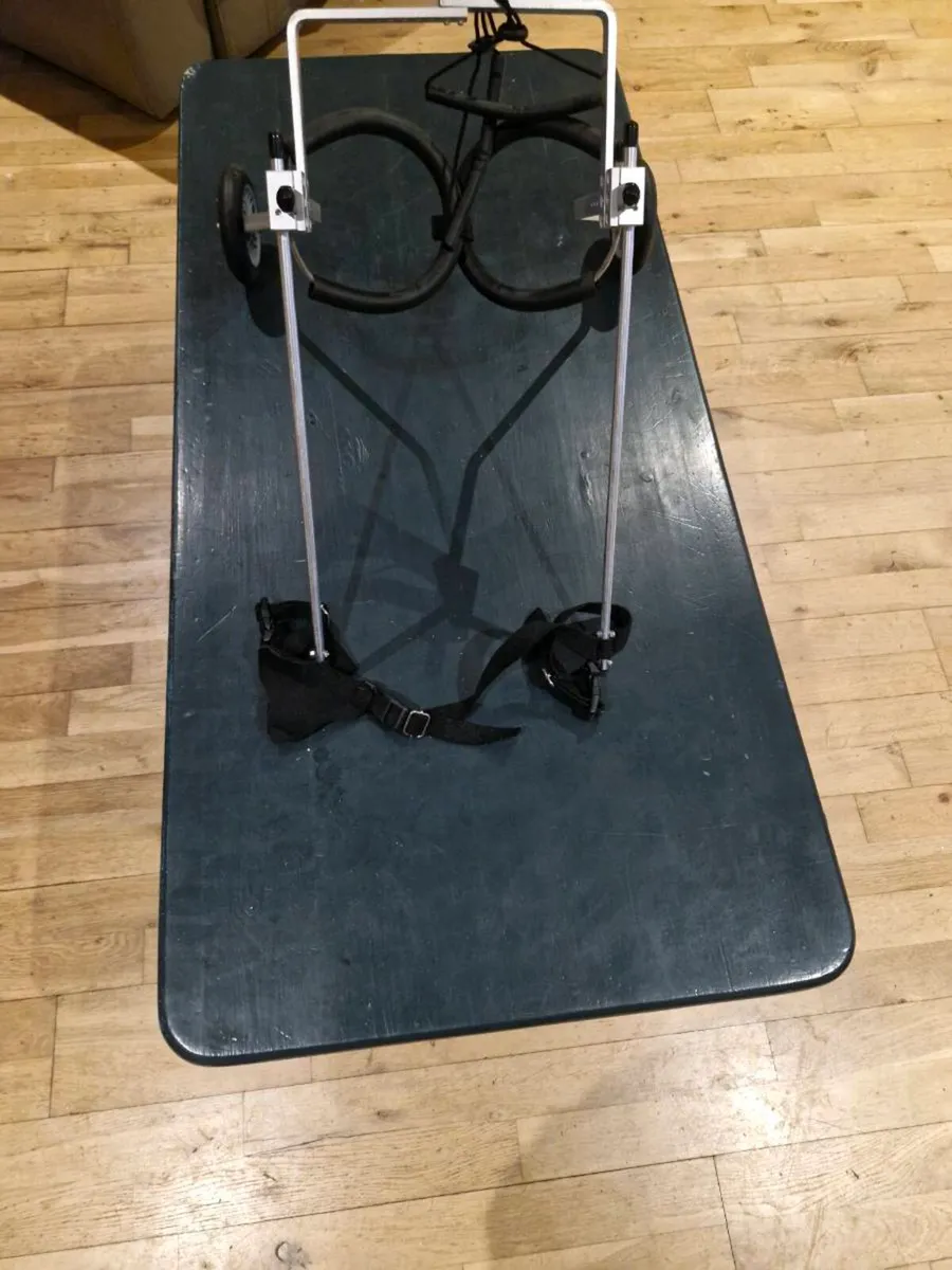 Dog harness - Image 3