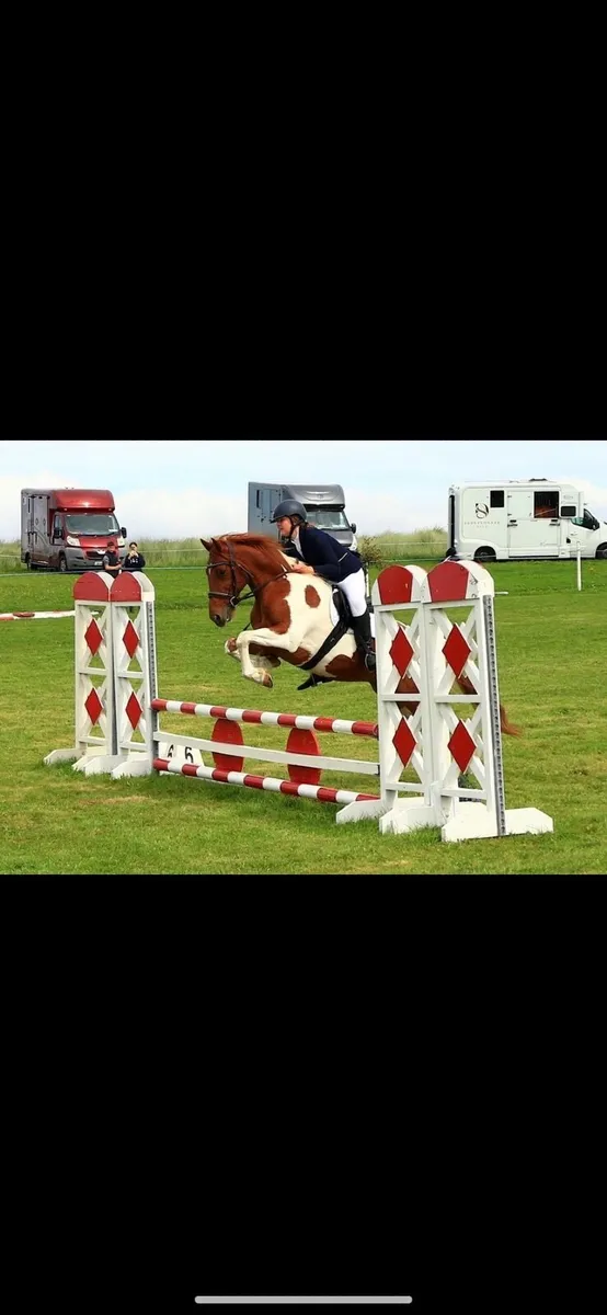 ⭐️Horse⭐️ - Image 1