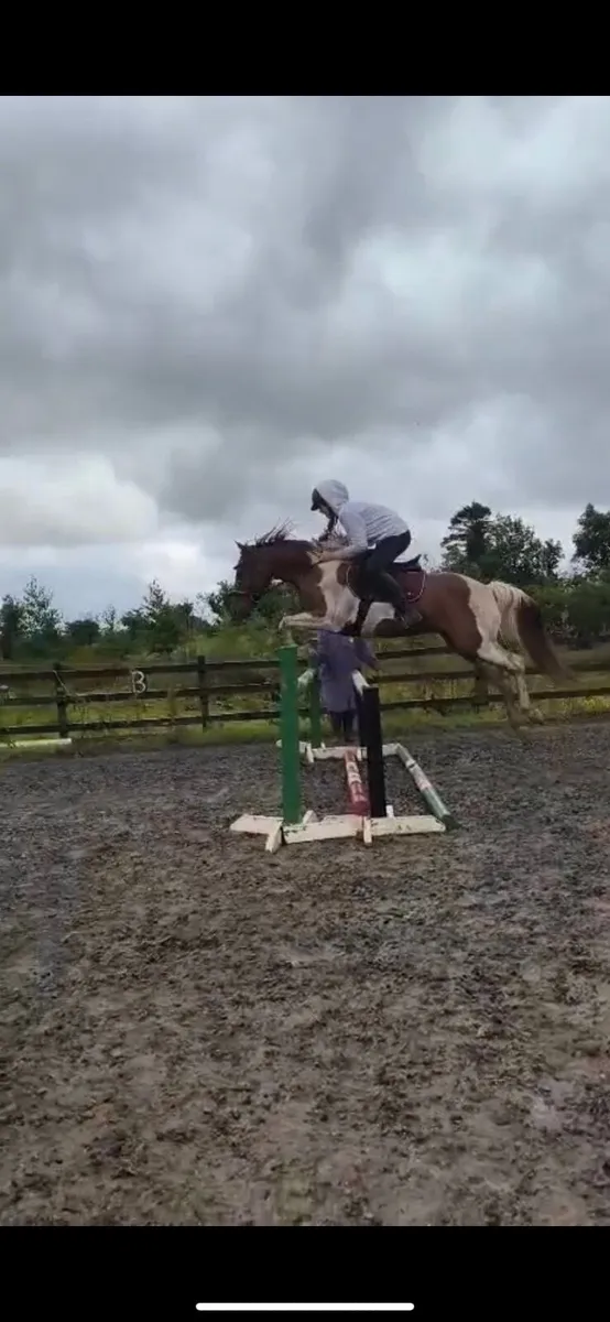 ⭐️Horse⭐️ - Image 2