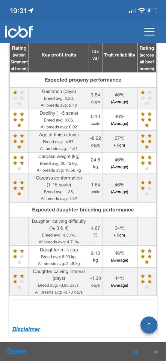 Simmential Bull - Image 4