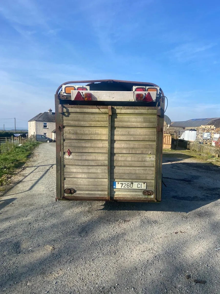 12tf Ifor Williams Cattle trailer - Image 2