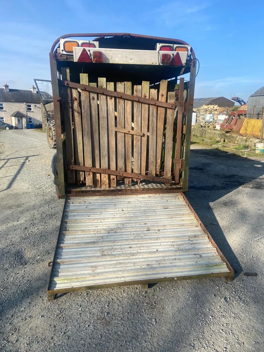 12tf Ifor Williams Cattle trailer - Image 3