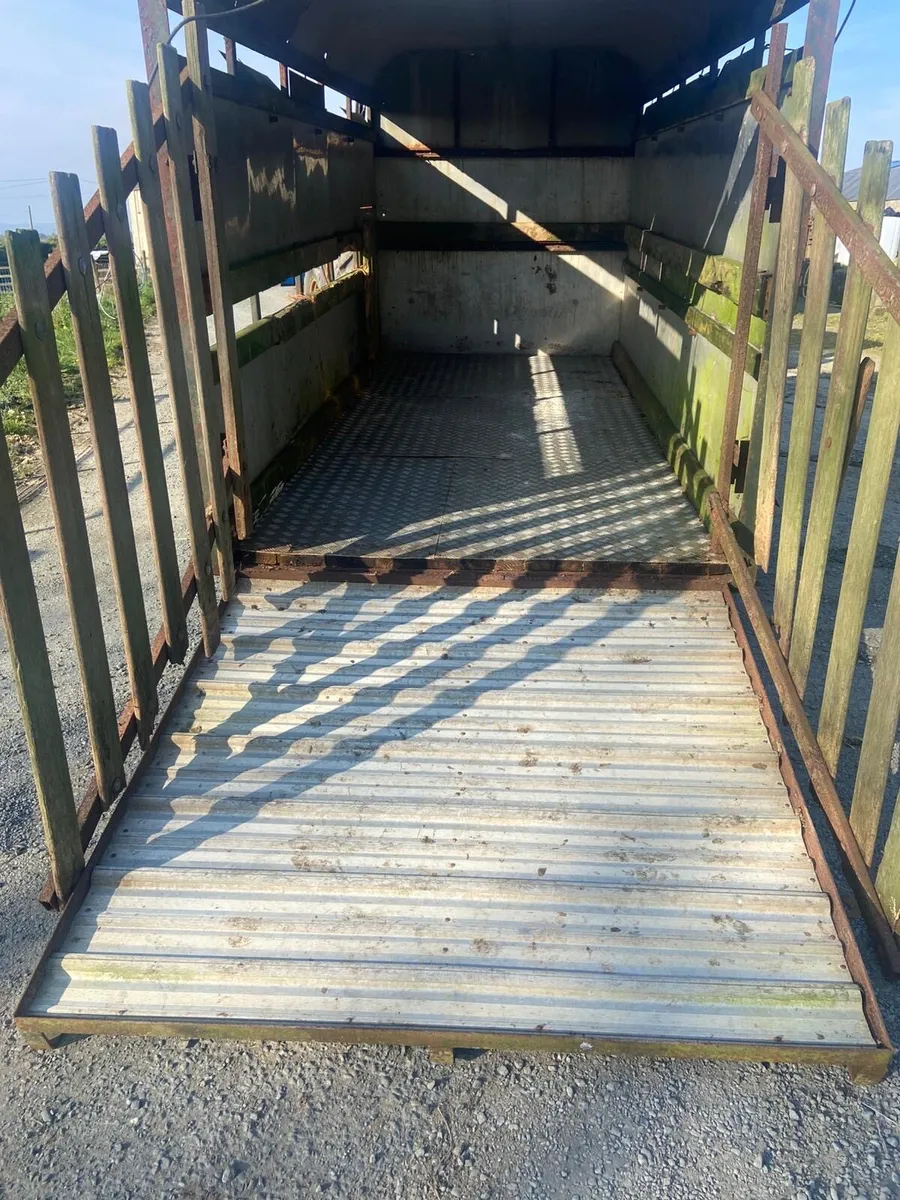 12tf Ifor Williams Cattle trailer - Image 4