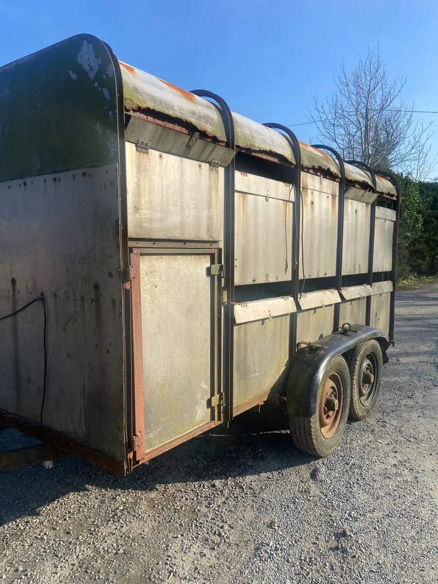 12tf Ifor Williams Cattle trailer - Image 1