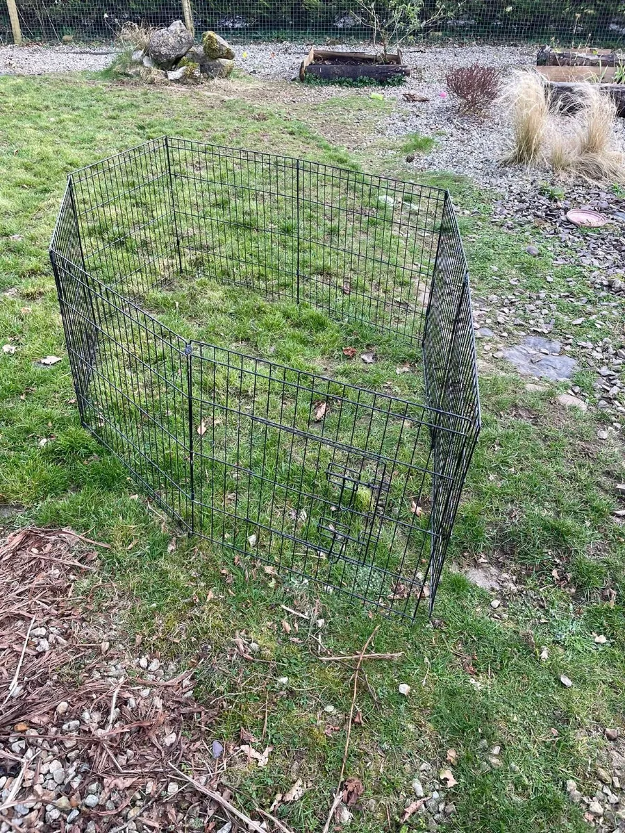 Dogs Playpen and doggy pool - Image 2