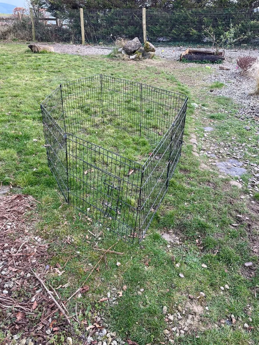 Dogs Playpen and doggy pool - Image 1
