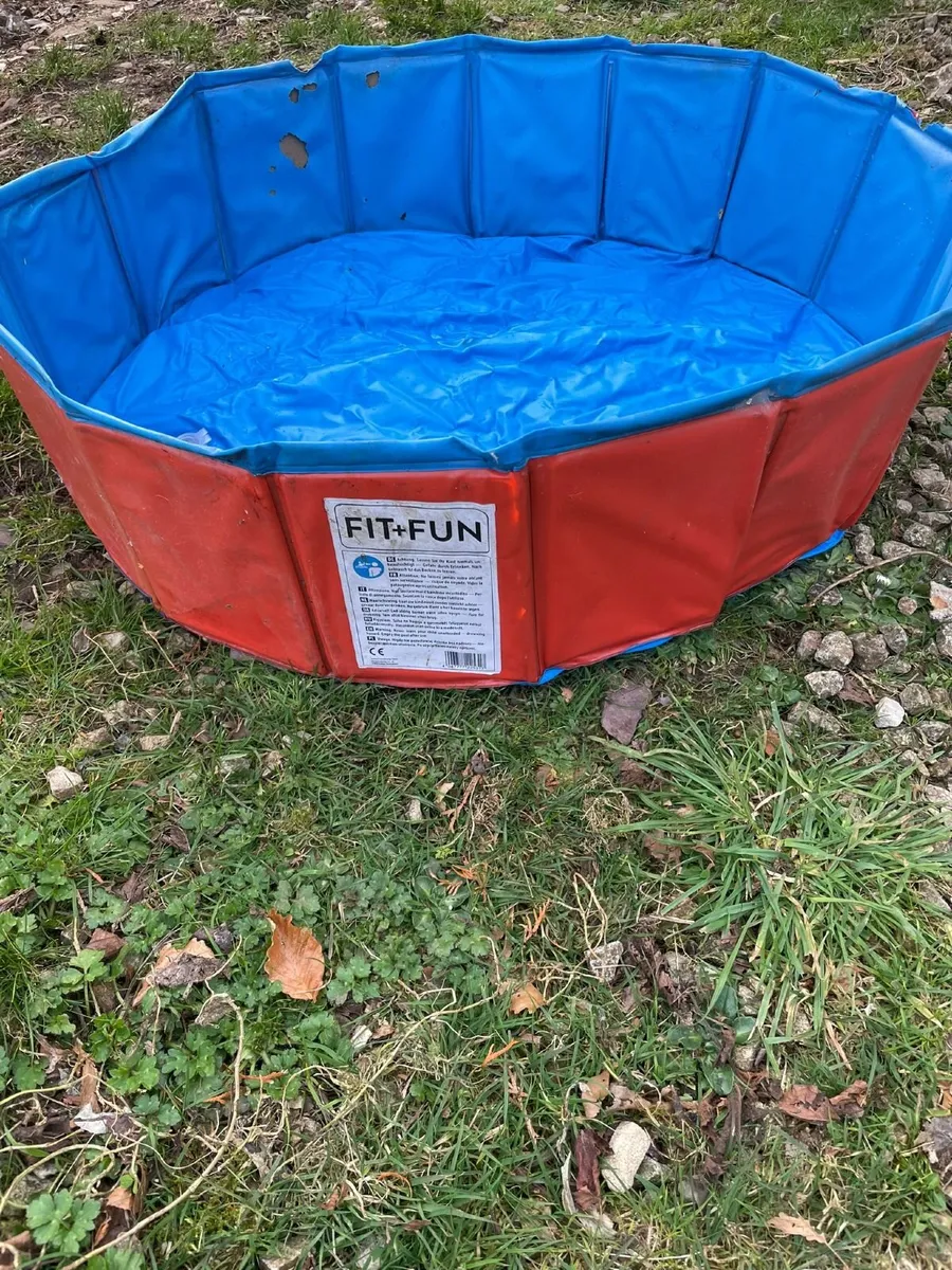 Dogs Playpen and doggy pool - Image 3