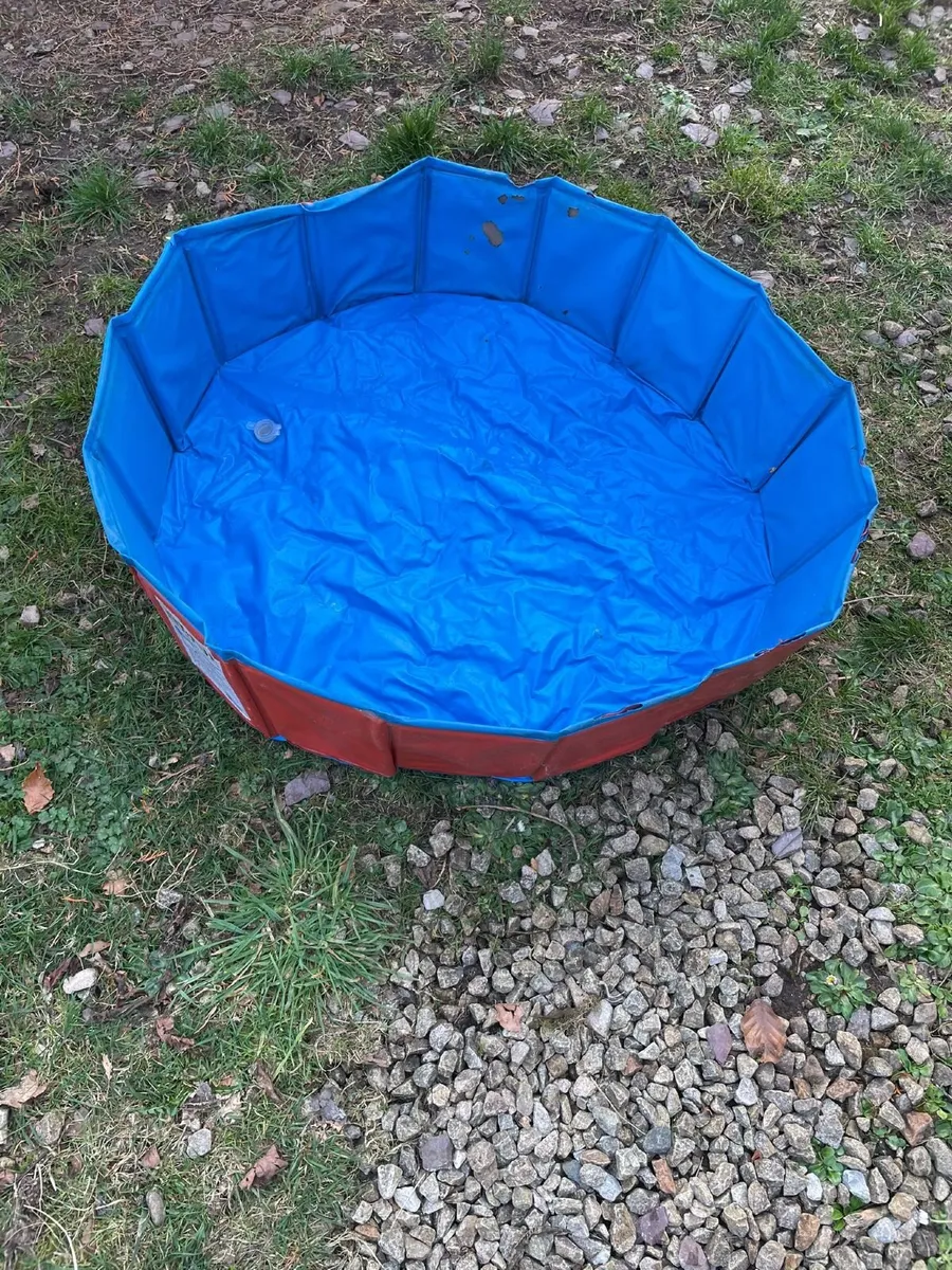 Dogs Playpen and doggy pool - Image 4