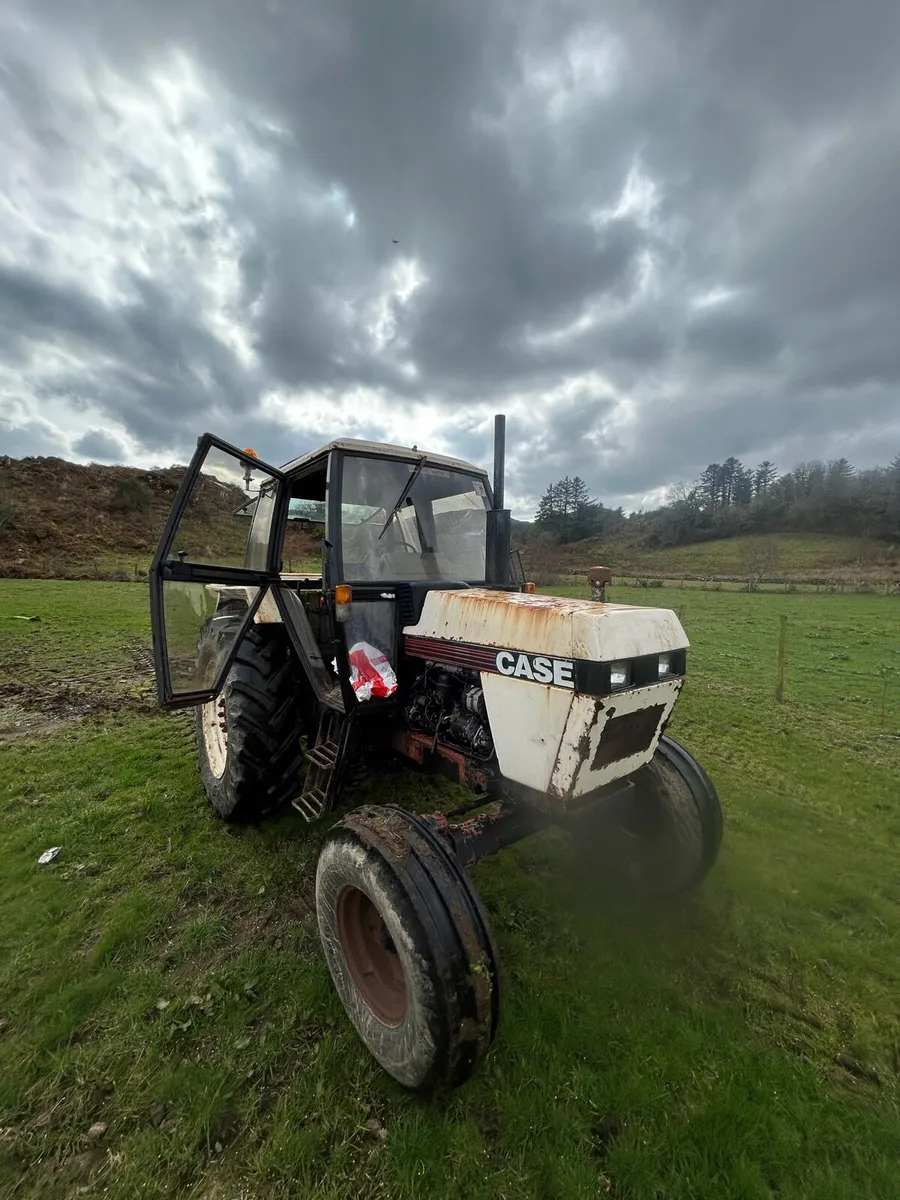 Case David brown - Image 2