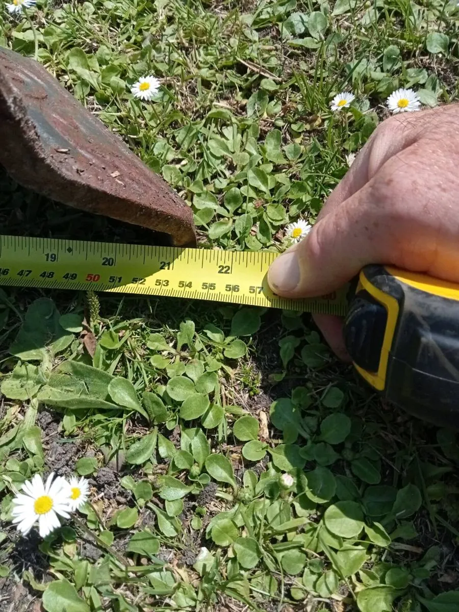Old fireplace front and grill - Image 4