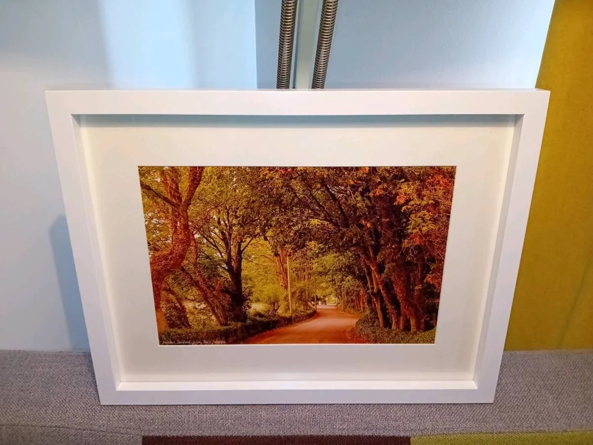 Ballintubber, Carrigtwohill - Image 4