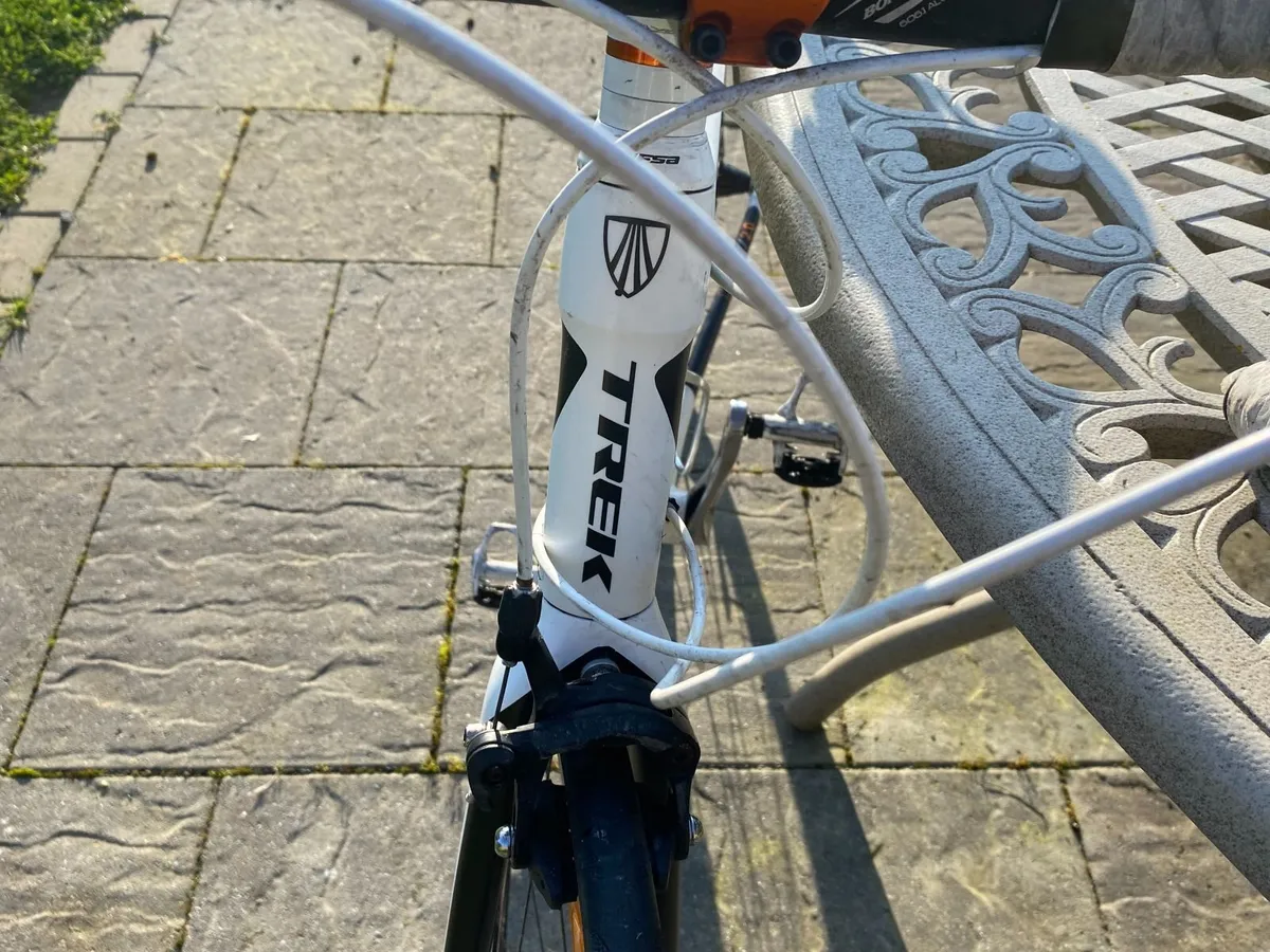 Adult Bike - Image 4