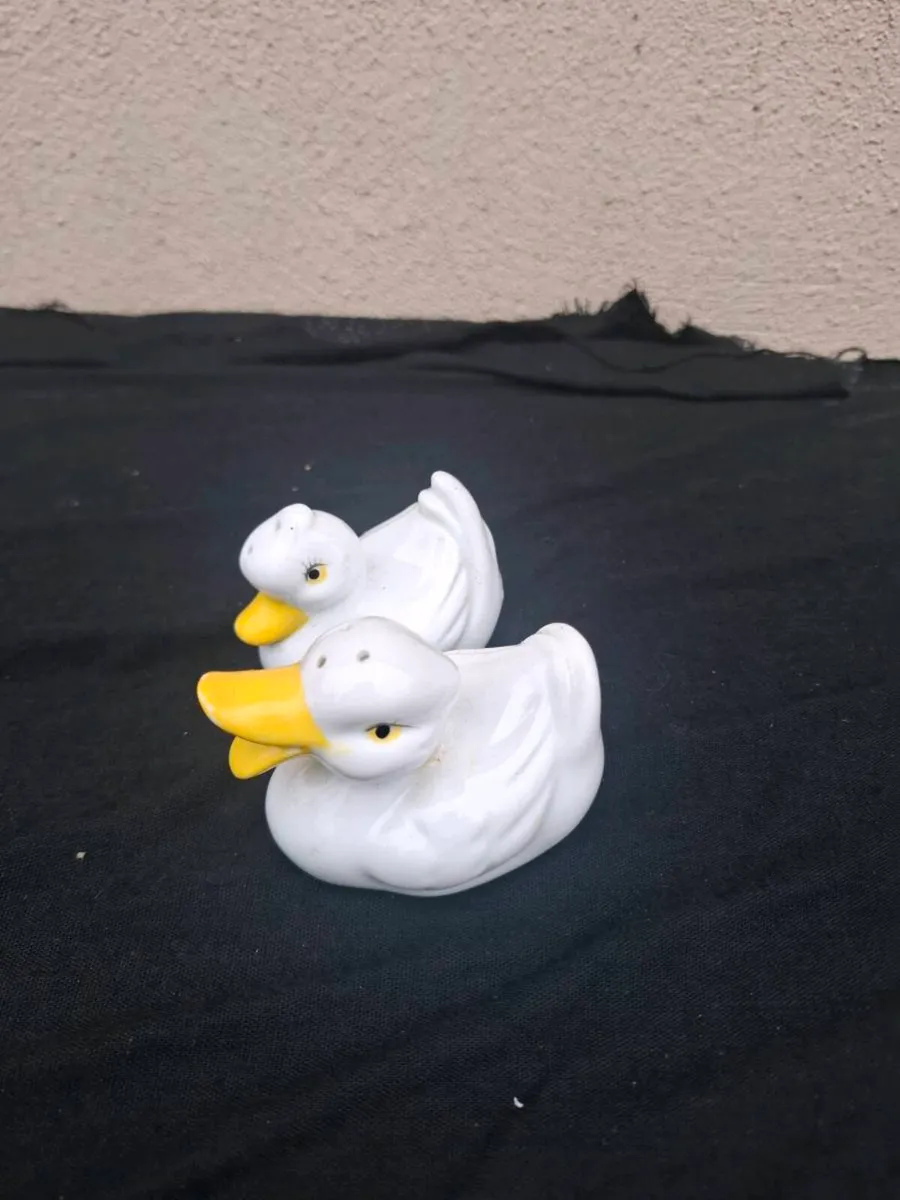 Salt and pepper duck