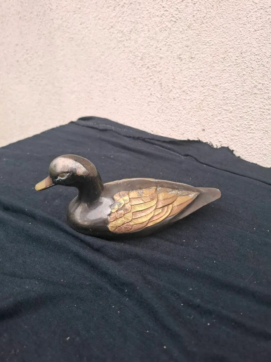Metallic duck