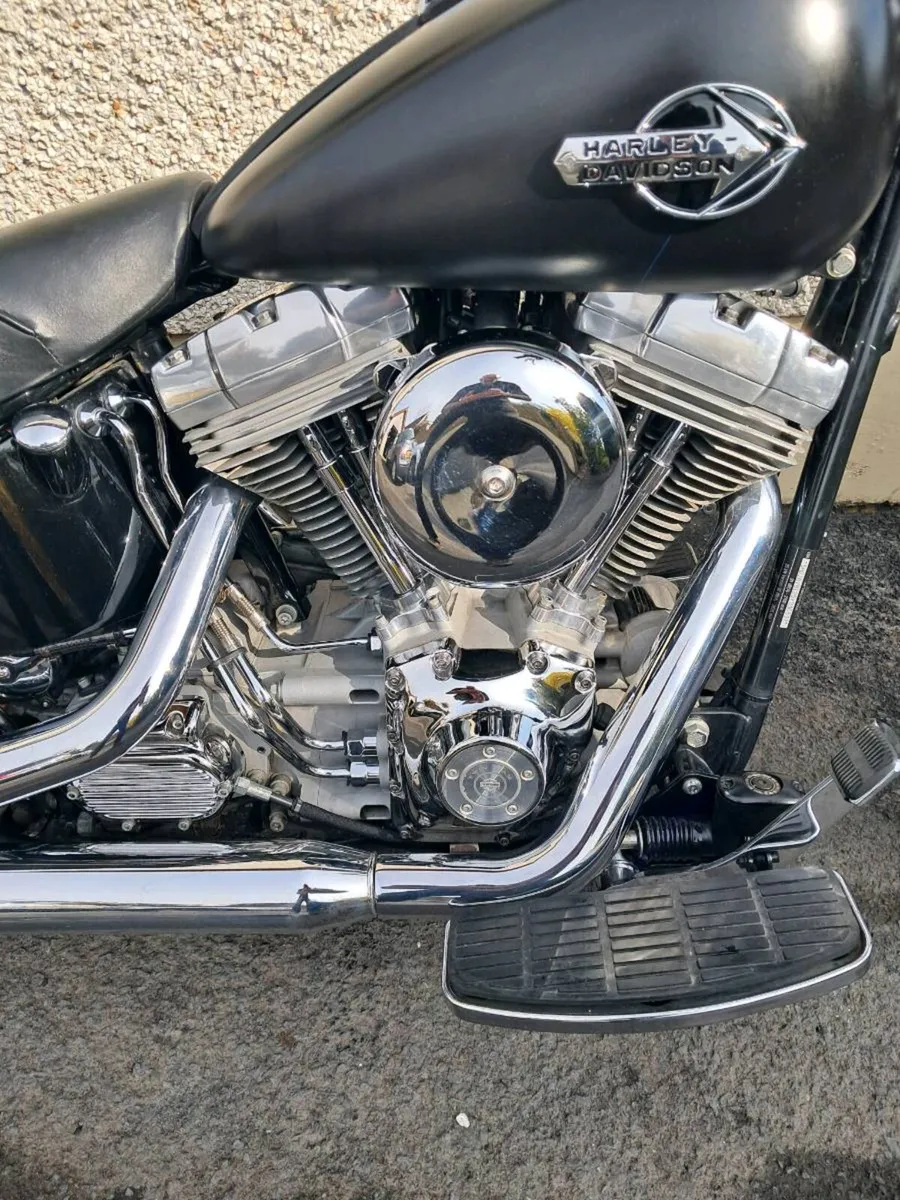 Harley-Davidson softail - Image 4