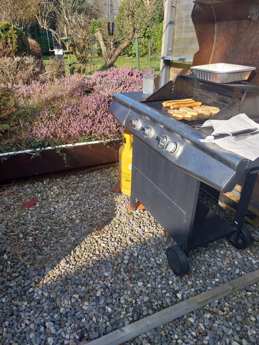 Gas BBQ - Image 3