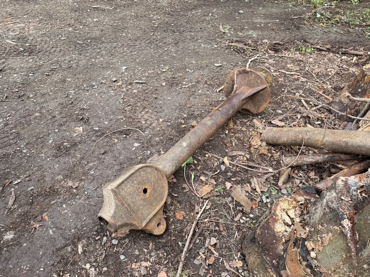 Cast iron pump - Image 1