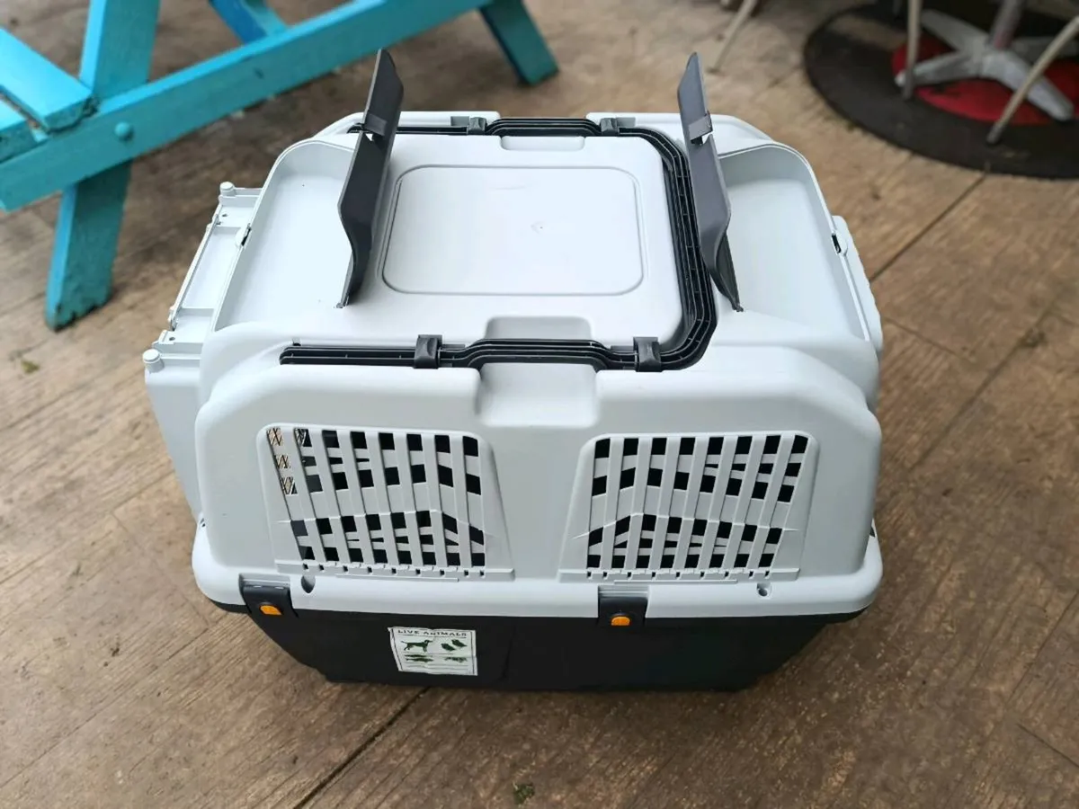 Dog carrier/transport box - Image 4