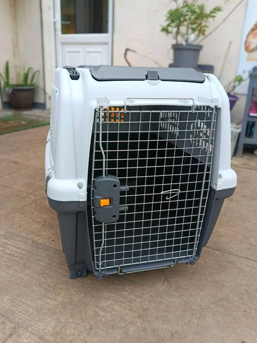 Dog carrier/transport box - Image 1