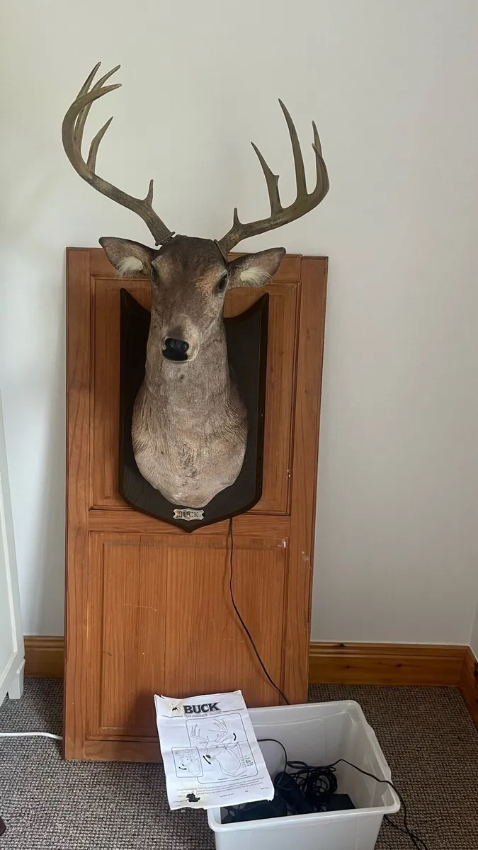“Buck”the animated trophy deer - Image 2
