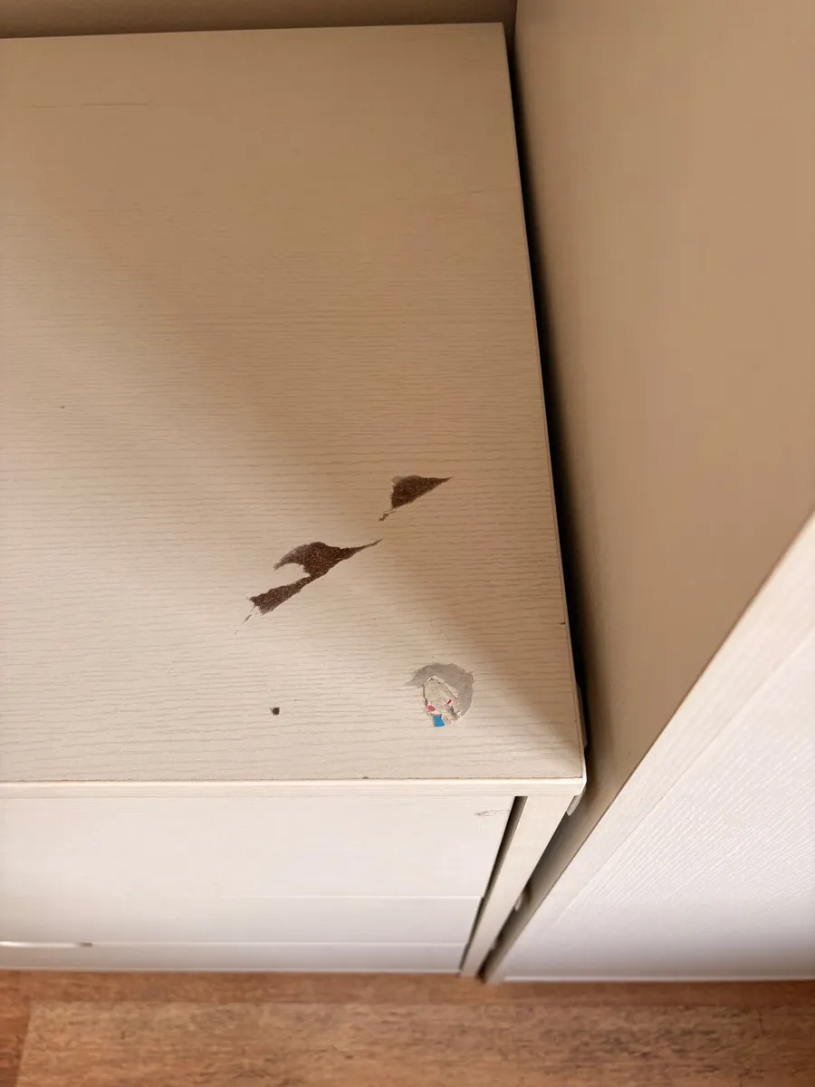 Wardrobe & Chest of Drawers - Image 4