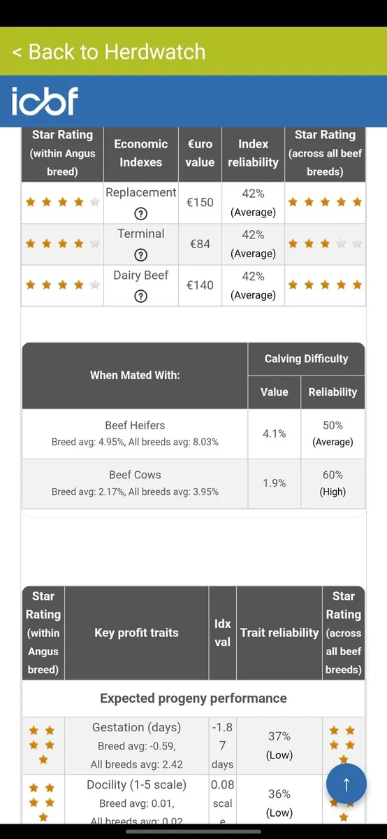 PBR Angus Bulls at Castleisland Mart 15th of April - Image 2