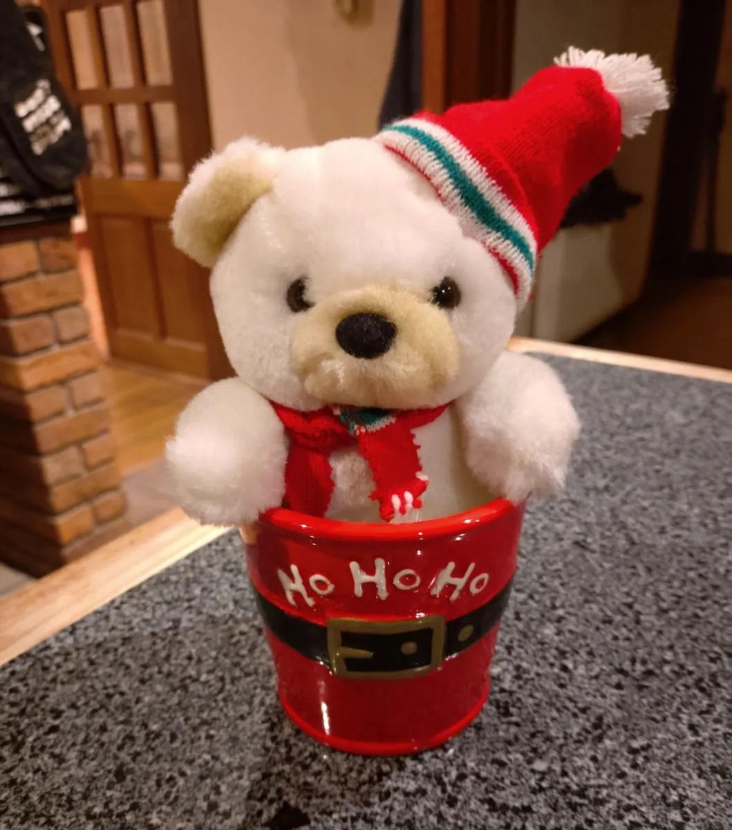 Ceramic "ho Ho Ho" Christmas Plant Pot & Teddy. - Image 1