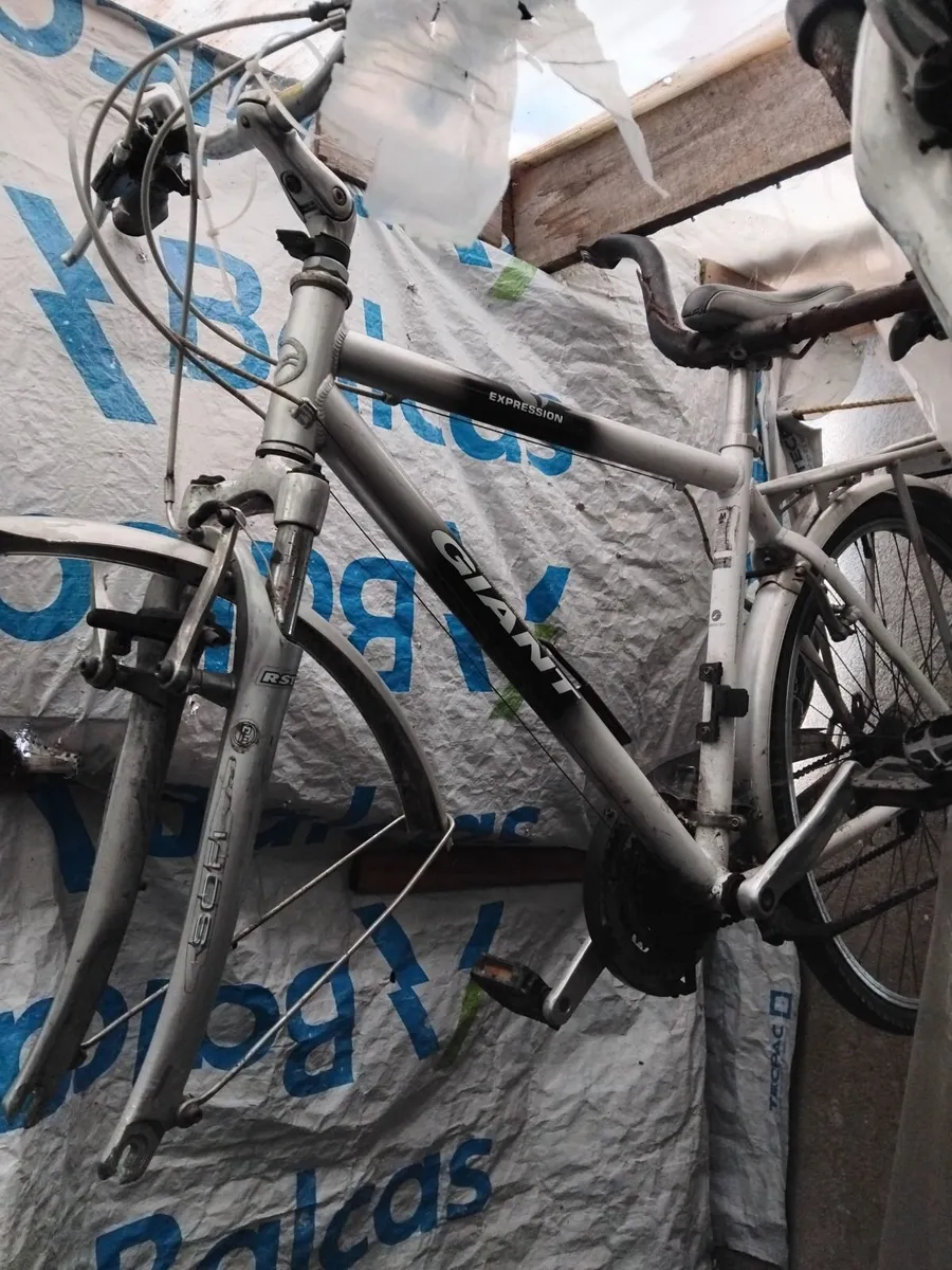 All bikes for sale 40e each read add no offers - Image 1