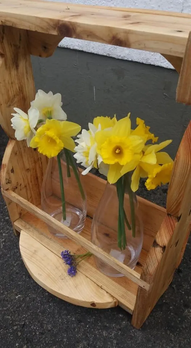 Rustic wall or stand flower / plant propagation. - Image 2