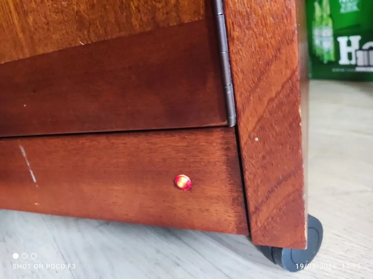 Philips Hostess Executive Powerful 830W Food warmer trolley - Image 3