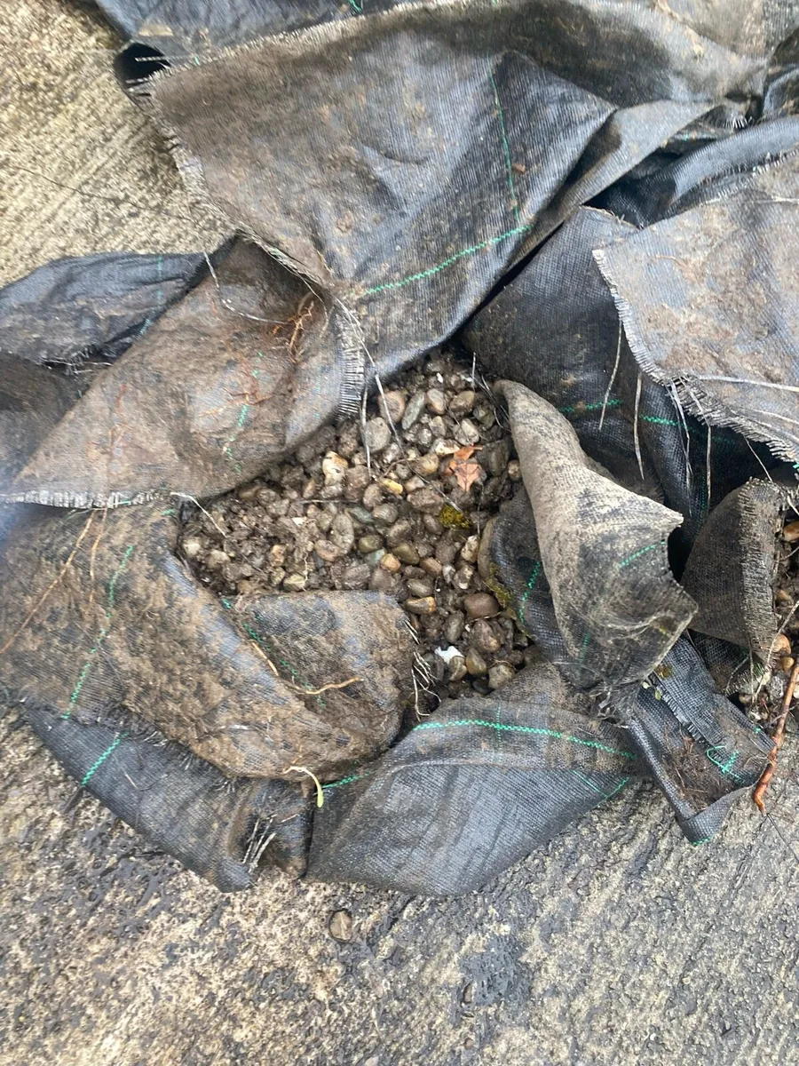 **FREE** Hard fill - Image 4