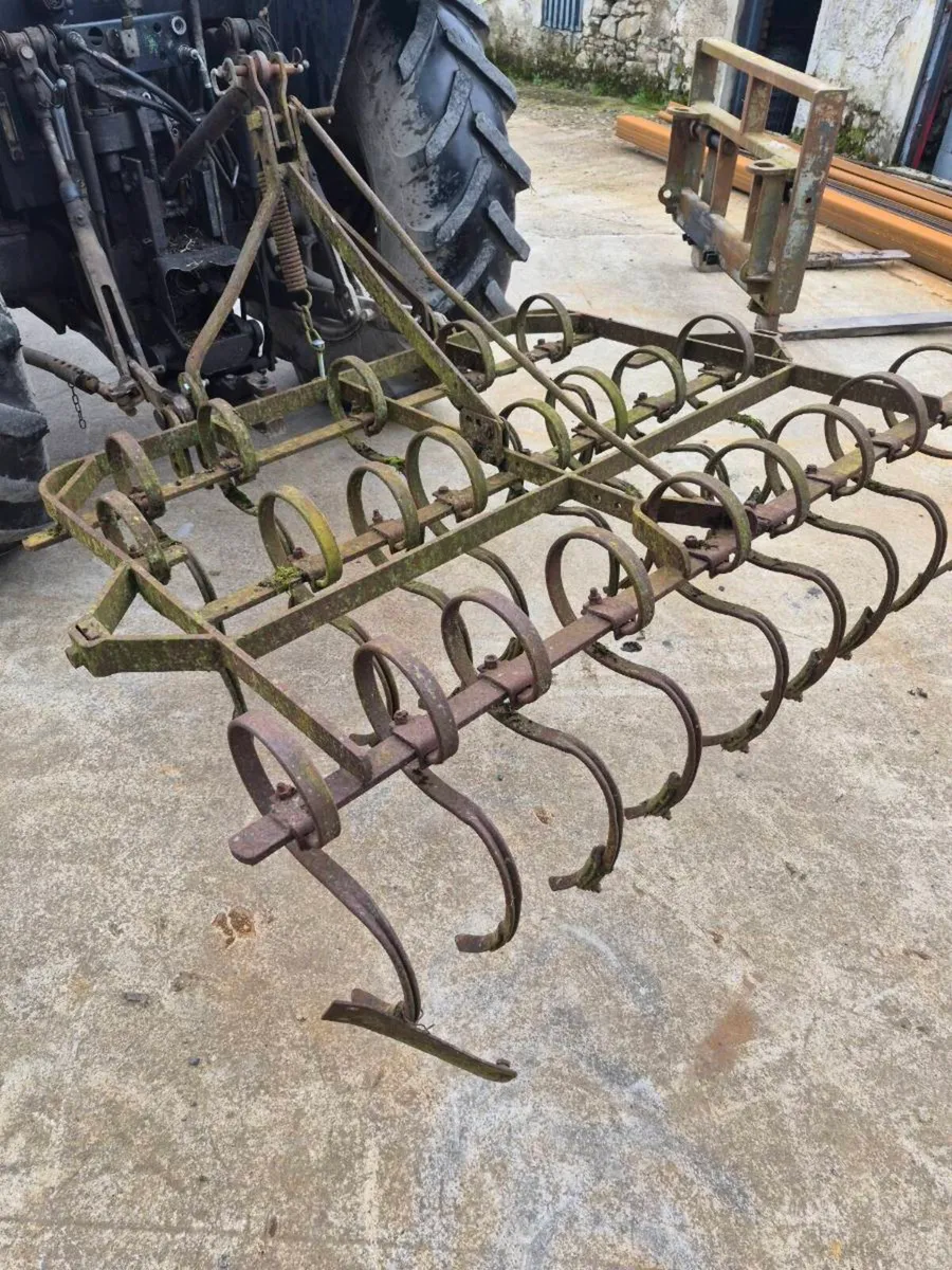 Tripple K harrow/spring time harrow - Image 3