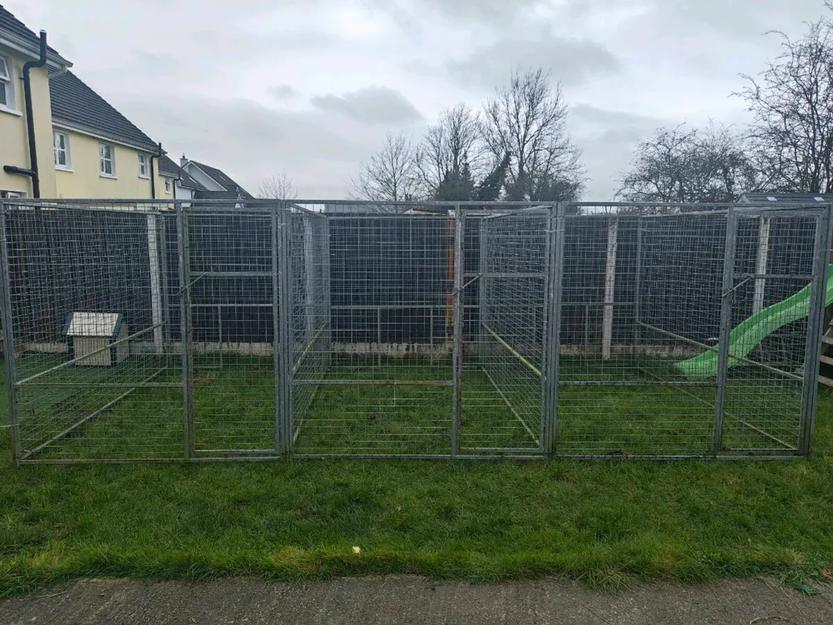 Dog run - Image 1