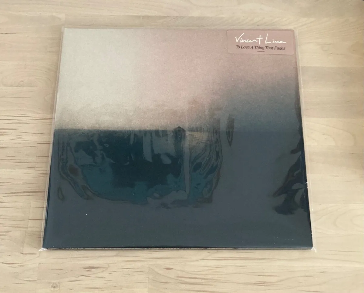 Vincent Lima To Love A Thing That Fades Vinyl - Image 2