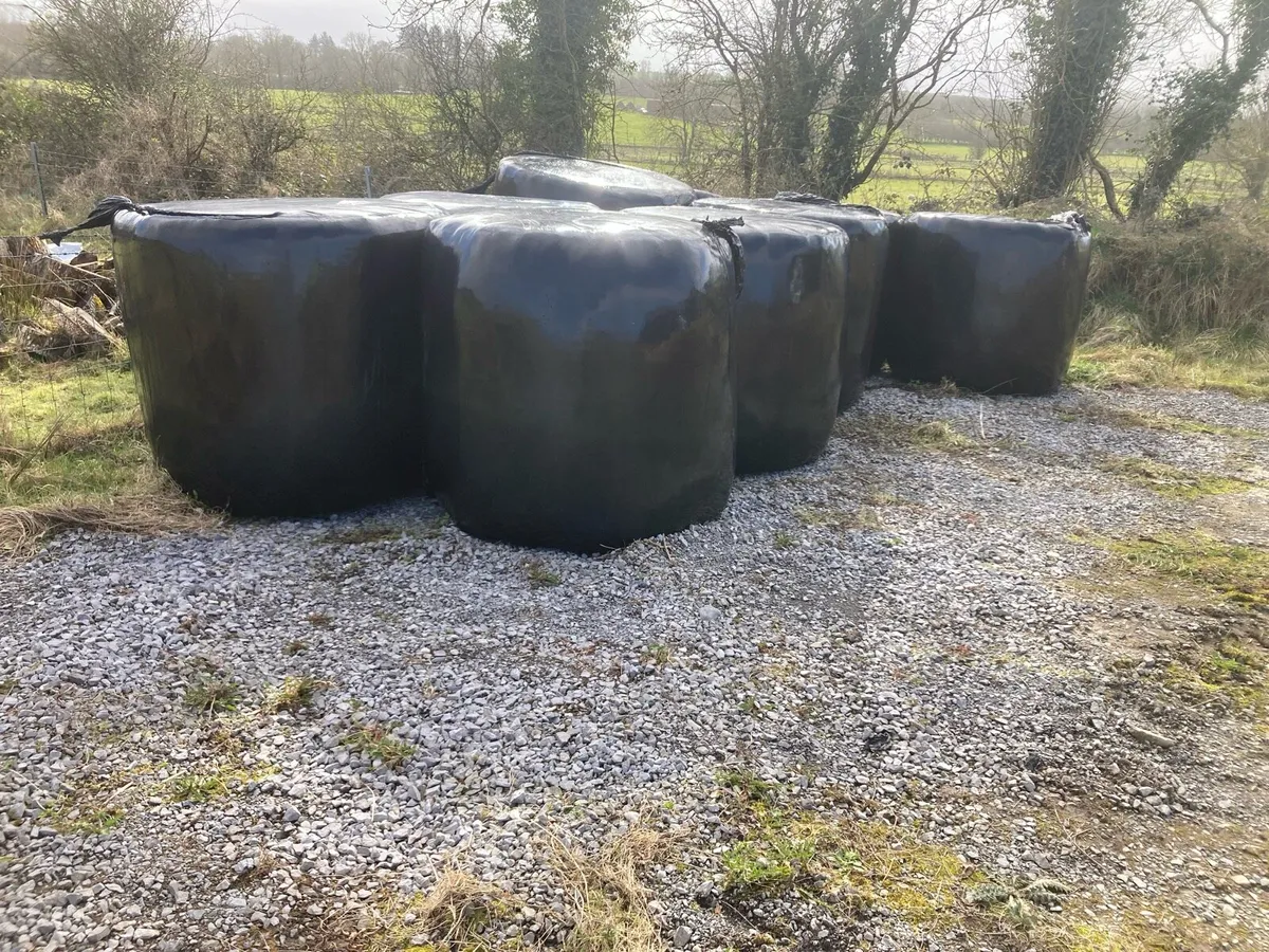 Silage bales - Image 1