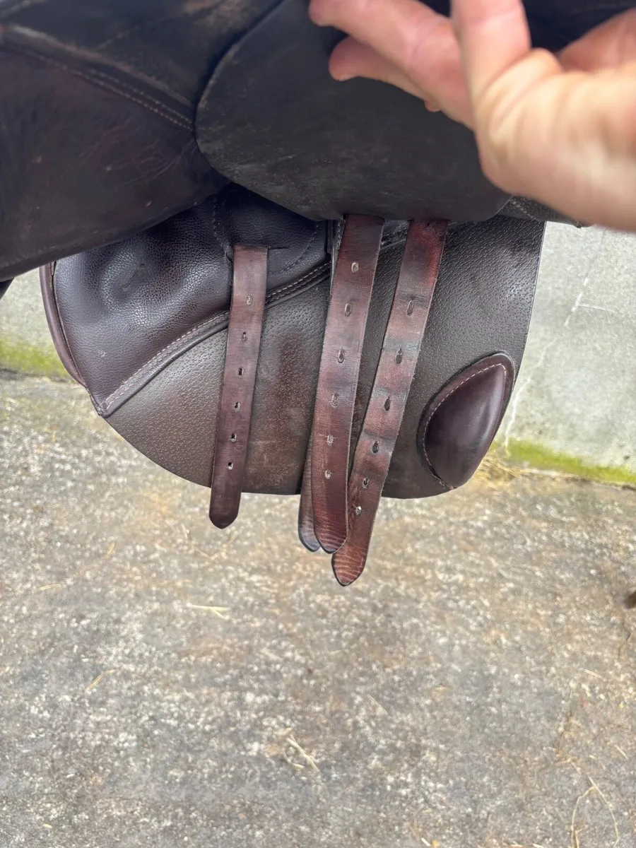 Saddle - Image 3