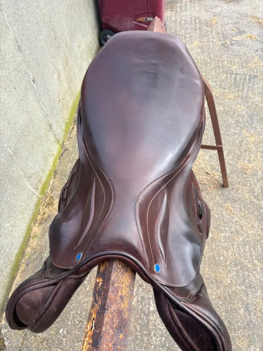Saddle - Image 4